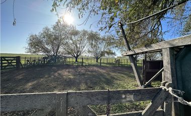 Campo en venta en Ranchos. 449 Has ganadero