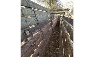 Campo en venta en Ranchos. 449 Has ganadero