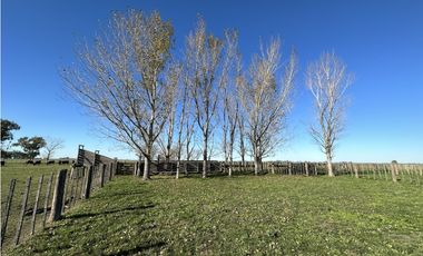 Campo en venta en Ranchos. 449 Has ganadero