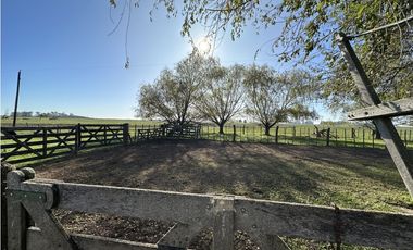 Campo en venta en Ranchos. 449 Has ganadero