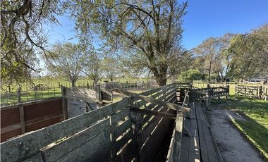 Campo en venta en Ranchos. 449 Has ganadero