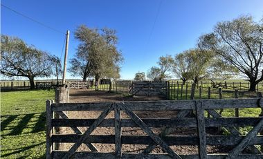 Campo en venta en Ranchos. 449 Has ganadero