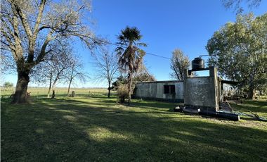 Campo en venta en Ranchos. 449 Has ganadero