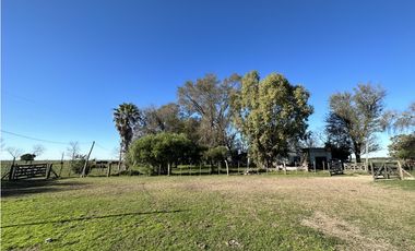 Campo en venta en Ranchos. 449 Has ganadero