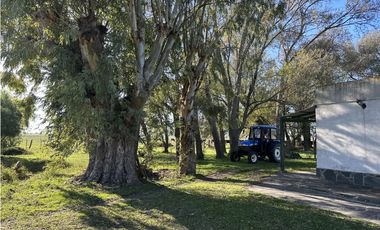 Campo en venta en Ranchos. 449 Has ganadero