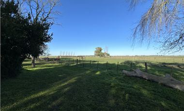 Campo en venta en Ranchos. 449 Has ganadero