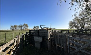 Campo en venta en Ranchos. 449 Has ganadero