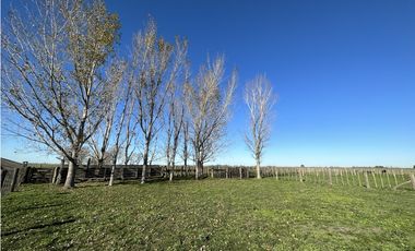 Campo en venta en Ranchos. 449 Has ganadero