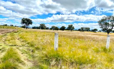 TERRENO COMERCIAL ZONA AUDI SAN JOSÉ CHIAPA, PUEBLA