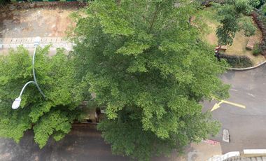 Apartemen Paradise Mansion