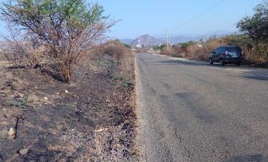 TERRENO 28MIL MT EN MACUILXOCHITL OAXACA