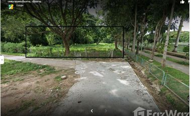 Land for sale in Rop Wiang, Chiang Rai