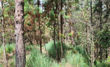 Venta de Lote en el Retiro Vereda Lejos Del Nido se puede dividir