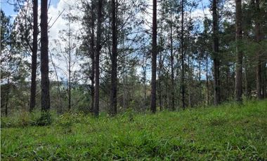 Venta de Lote en el Retiro Vereda Lejos Del Nido se puede dividir