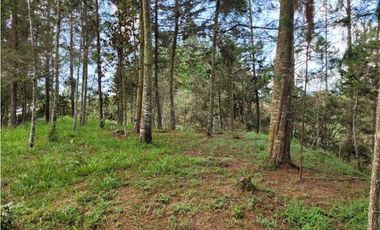 Venta de Lote en el Retiro Vereda Lejos Del Nido se puede dividir