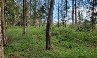 Venta de Lote en el Retiro Vereda Lejos Del Nido se puede dividir