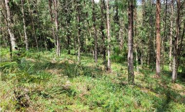 Venta de Lote en el Retiro Vereda Lejos Del Nido se puede dividir