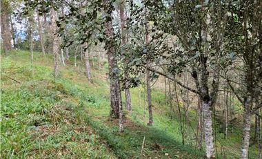 Venta de Lote en el Retiro Vereda Lejos Del Nido se puede dividir