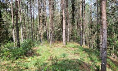 Venta de Lote en el Retiro Vereda Lejos Del Nido se puede dividir