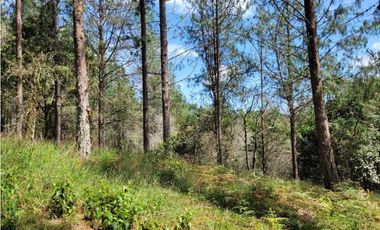 Venta de Lote en el Retiro Vereda Lejos Del Nido se puede dividir