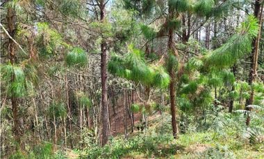 Venta de Lote en el Retiro Vereda Lejos Del Nido se puede dividir