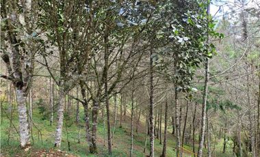 Venta de Lote en el Retiro Vereda Lejos Del Nido se puede dividir