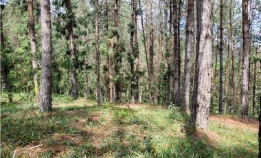 Venta de Lote en el Retiro Vereda Lejos Del Nido se puede dividir