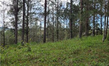 Venta de Lote en el Retiro Vereda Lejos Del Nido se puede dividir