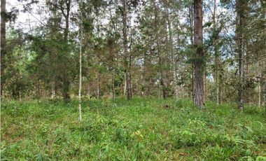 Venta de Lote en el Retiro Vereda Lejos Del Nido se puede dividir