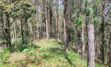 Venta de Lote en el Retiro Vereda Lejos Del Nido se puede dividir