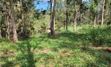 Venta de Lote en el Retiro Vereda Lejos Del Nido se puede dividir