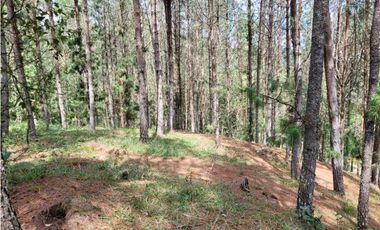 Venta de Lote en el Retiro Vereda Lejos Del Nido se puede dividir