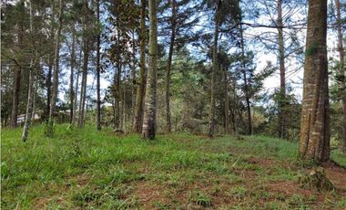 Venta de Lote en el Retiro Vereda Lejos Del Nido se puede dividir