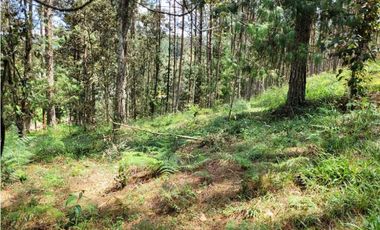 Venta de Lote en el Retiro Vereda Lejos Del Nido se puede dividir