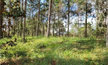 Venta de Lote en el Retiro Vereda Lejos Del Nido se puede dividir