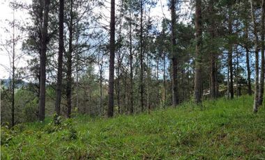 Venta de Lote en el Retiro Vereda Lejos Del Nido se puede dividir