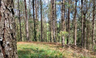 Venta de Lote en el Retiro Vereda Lejos Del Nido se puede dividir