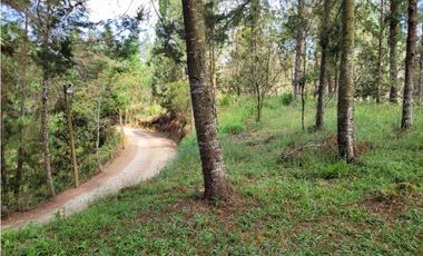 Venta de Lote en el Retiro Vereda Lejos Del Nido se puede dividir