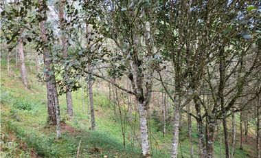 Venta de Lote en el Retiro Vereda Lejos Del Nido se puede dividir