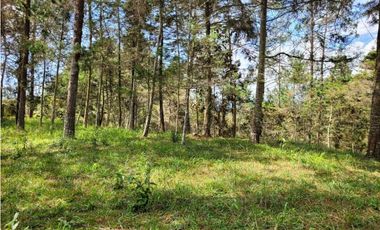 Venta de Lote en el Retiro Vereda Lejos Del Nido se puede dividir