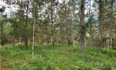 Venta de Lote en el Retiro Vereda Lejos Del Nido se puede dividir