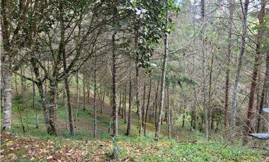 Venta de Lote en el Retiro Vereda Lejos Del Nido se puede dividir