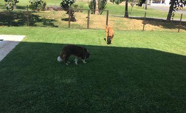 RENTA DE CASA CON VISTA AL CAMPO DE GOLF