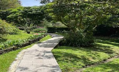 APARTAMENTO EN VENTA UBICADO EN EL POBLADO SECTOR ALTO DE LAS PALMAS