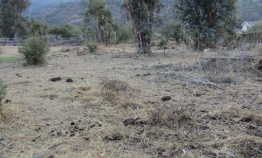 Vendo hermosa Parcela en Liu Liu . Olmué