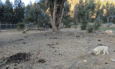 Vendo hermosa Parcela en Liu Liu . Olmué