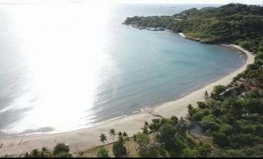 Lot for Sale in Nasugbu, Beach residential property