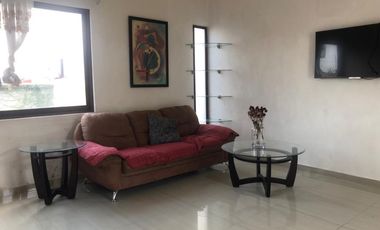 Para remodelar zona norte