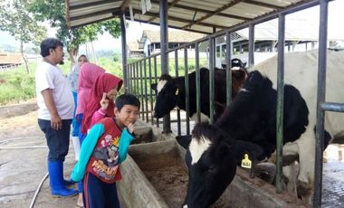 Rumah Nuansa Villa sejuk Konsep Smarthome di Cugenang dkt PUNCAK