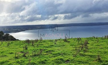 Terreno Construccion  en Venta en Curaco de Vélez